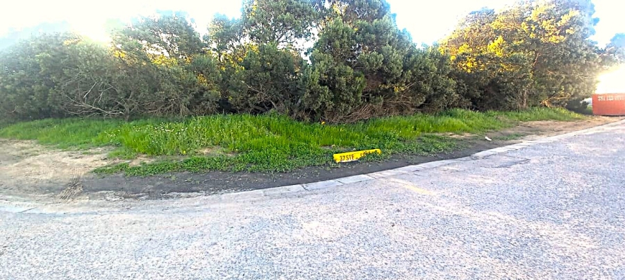 0 Bedroom Property for Sale in Shelley Point Western Cape